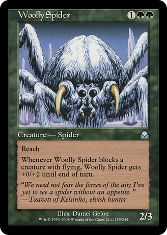 Woolly Spider