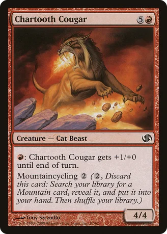 Chartooth Cougar