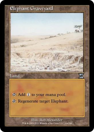 Elephant Graveyard