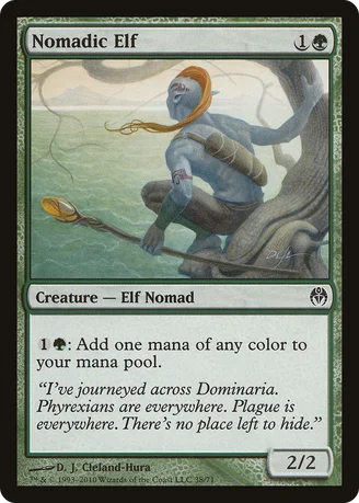 Nomadic Elf