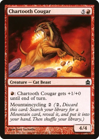 Chartooth Cougar
