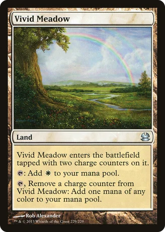 Vivid Meadow