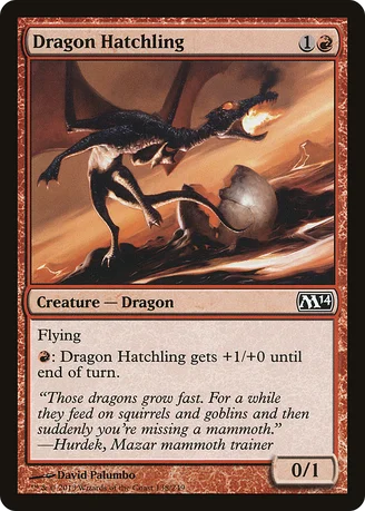 Dragon Hatchling