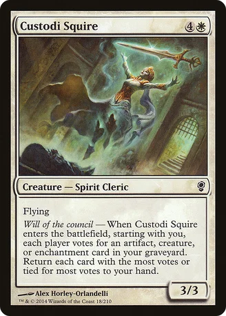 Custodi Squire