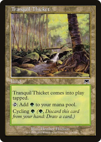 Tranquil Thicket