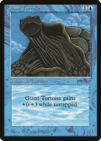 Giant Tortoise